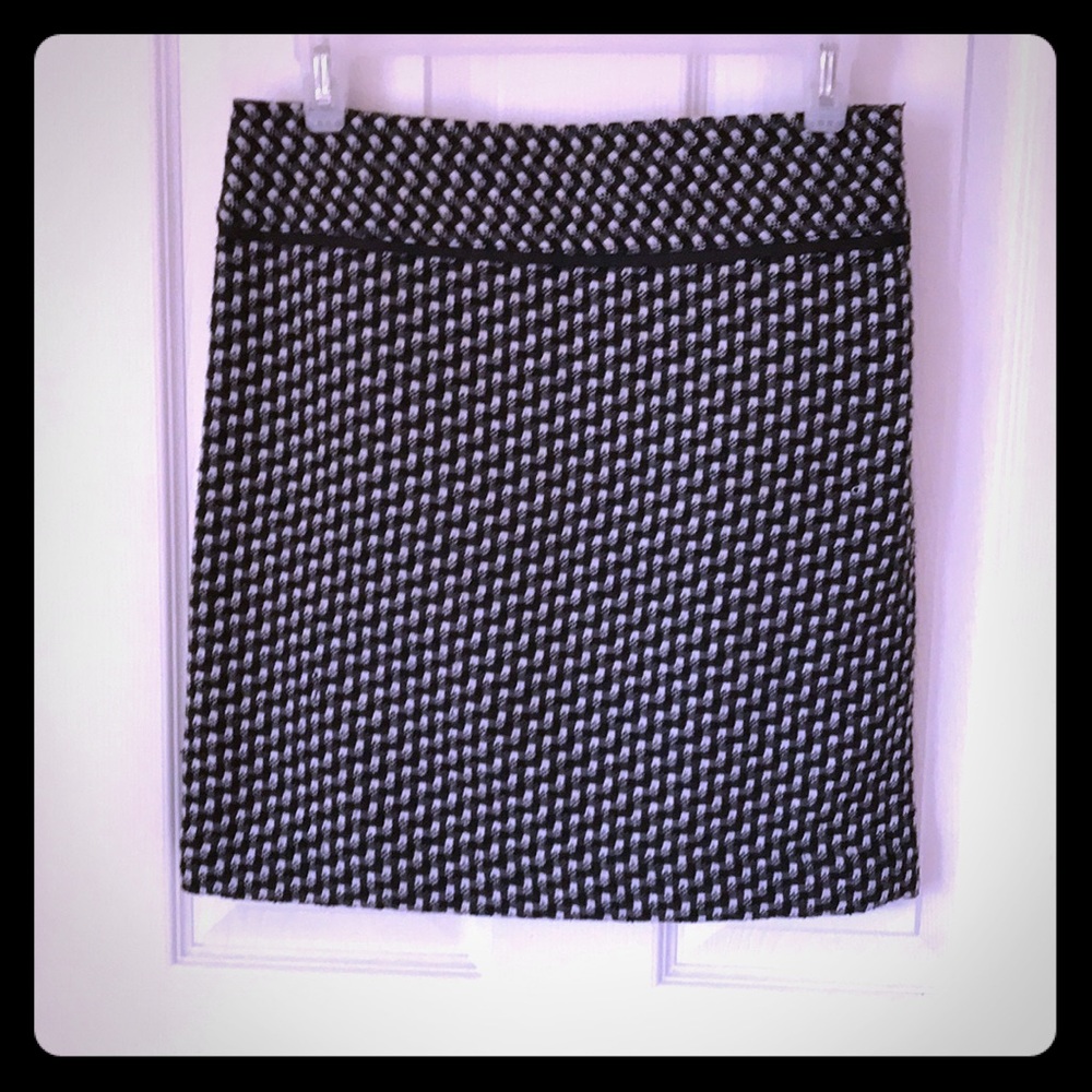 Chic Vintage Skirt